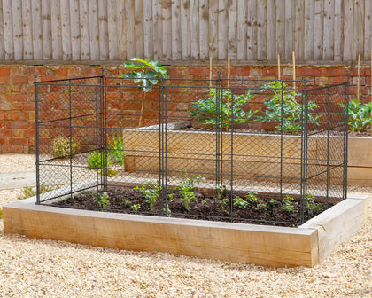 TAOMENNI 6-panel chicken wire plant protectors guard vegetables from pests