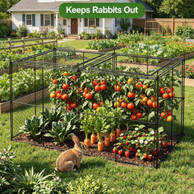 TAOMENNI Crop Cage anchored to ground for wind resistance