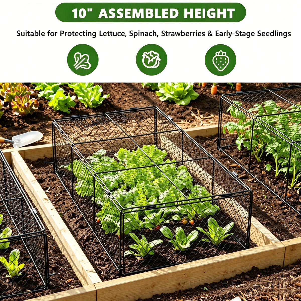 TAOMENNI hinged panel for easy access to watering and pruning