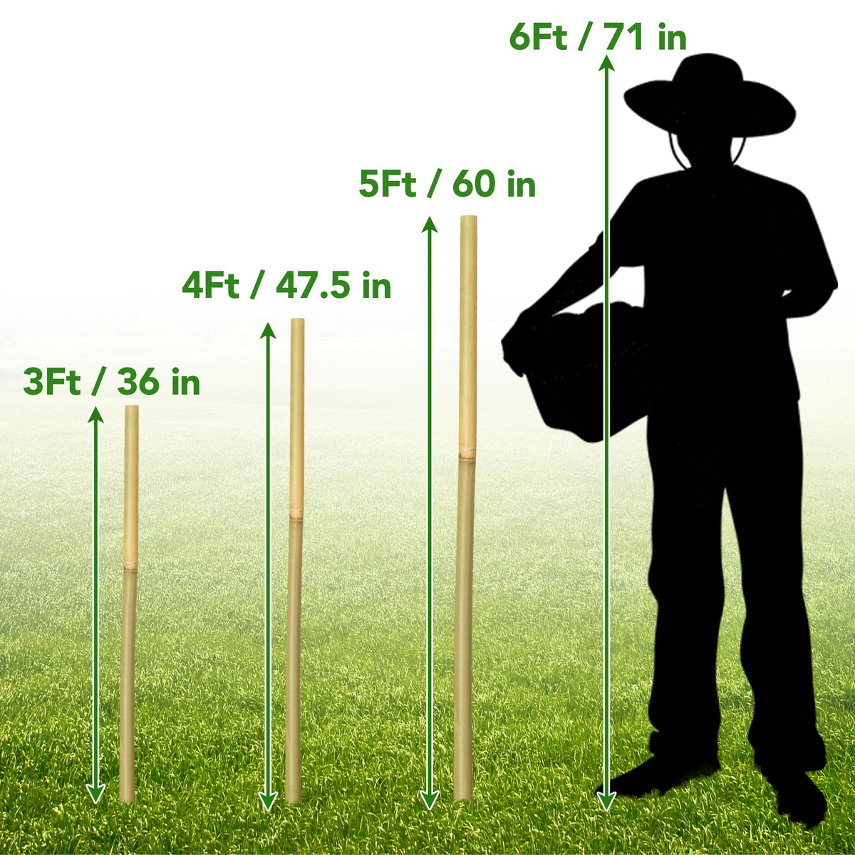 Taoskai potted-plants stakes secure decorative containers with stability.