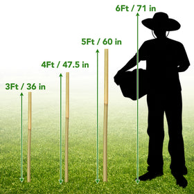 Taoskai potted-plants stakes secure decorative containers with stability.