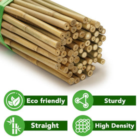 Taoskai bamboo stakes provide vegetable support for climbing plants.