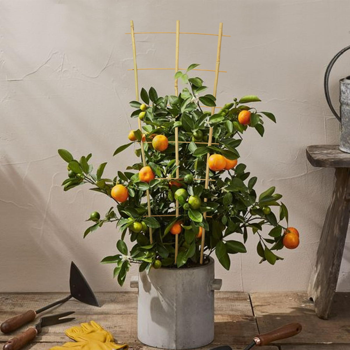 Taoskai 3ft support for tomatoes, cucumbers, beans and other climbers