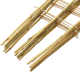 Taoskai trellis dimensions reveal ample top width and stable base
