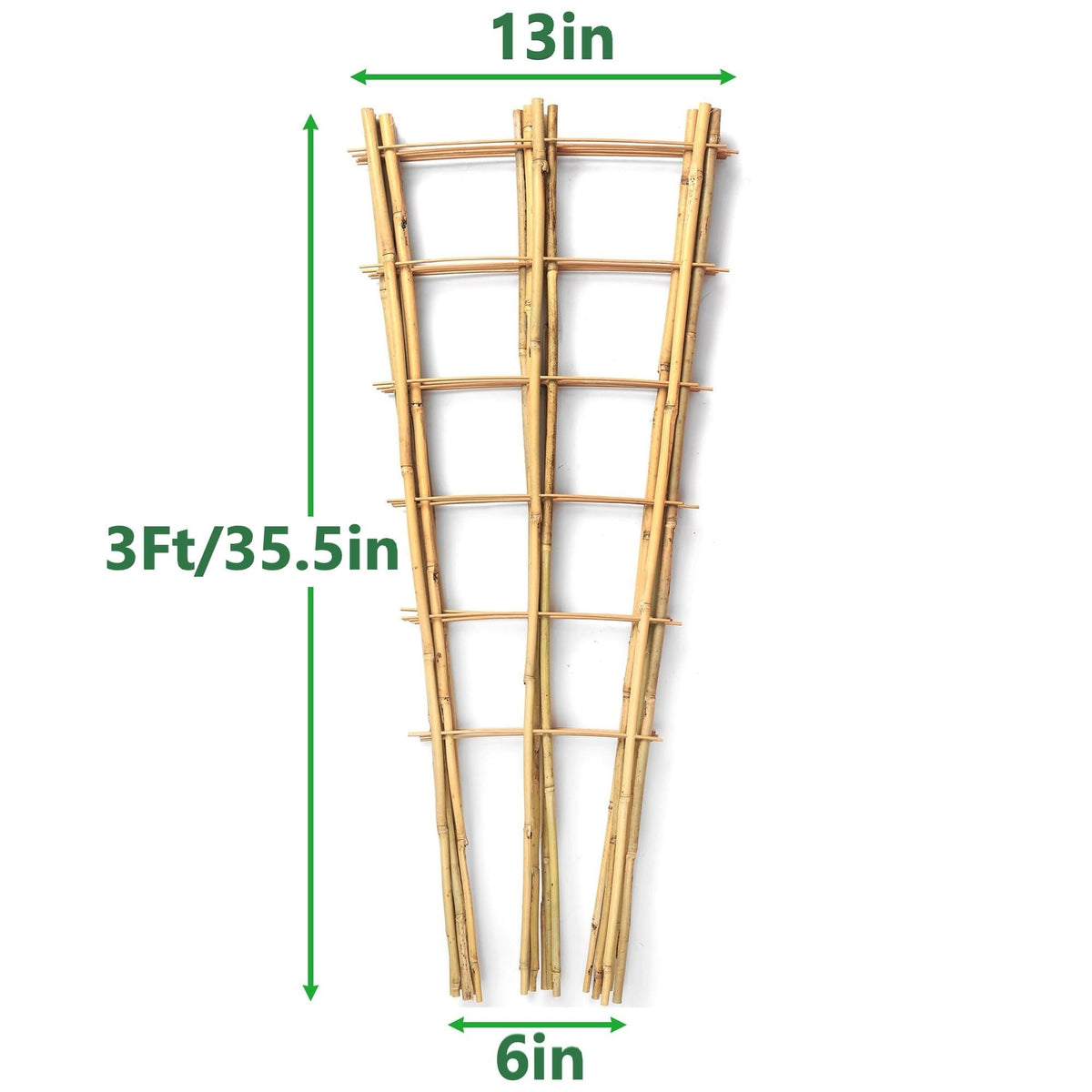 Taoskai bamboo trellis side view showing sturdy construction for wind resistance