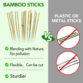 Taoskai natural bamboo stakes close-up showing quality craftsmanship.
