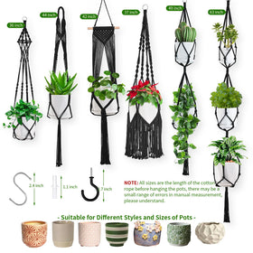 TAOZIM gift-ready plant hanger set for gardeners and decor lovers