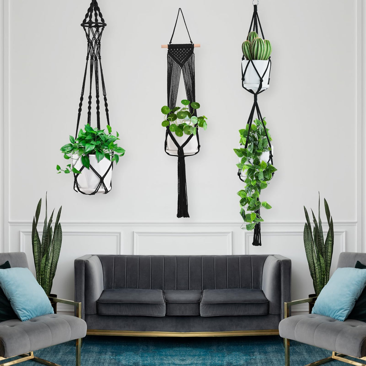 TAOZIM S-hook assortment enables flexible planter placement