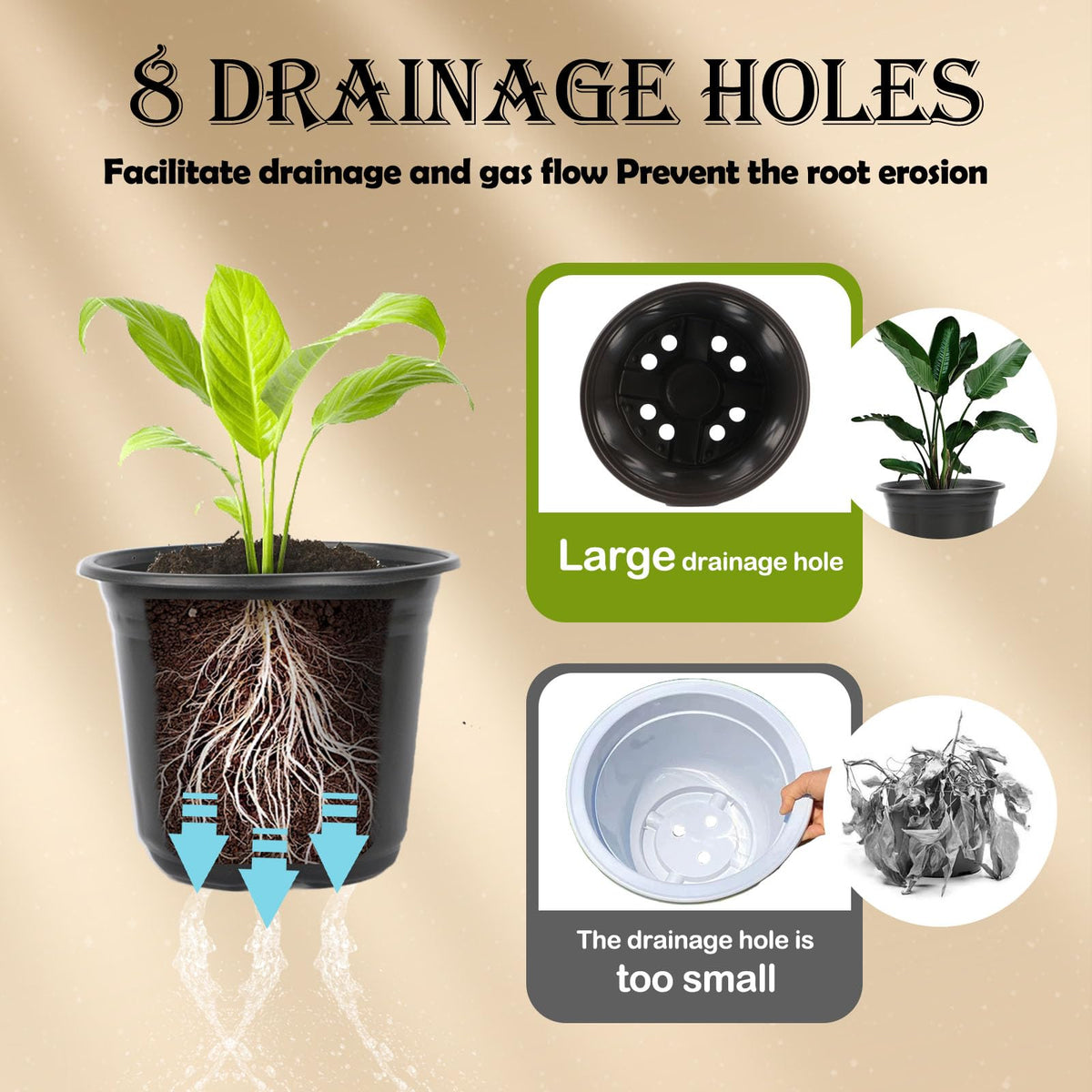 TAQIXI nursery pots bottom with eight drainage holes for drainage.