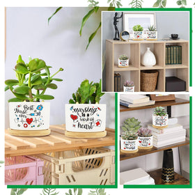 Tarklanda ceramic pots with drainage holes support healthy plant care.