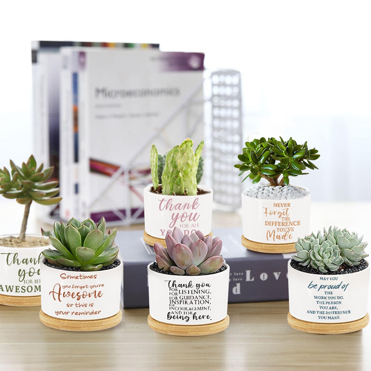 Tarklanda ceramic planters with drainage holes support healthy root moisture.