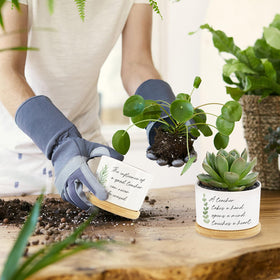 Tarklanda mini planter on bamboo tray, compact desk decor.