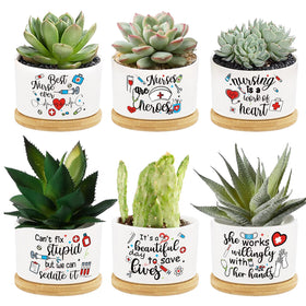 Tarklanda nurse pots six-pack displayed as a gift-ready set.