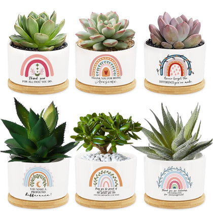 Tarklanda rainbow succulent pot set on bamboo tray, ideal for gifting and desk decor
