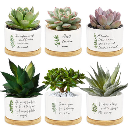 Tarklanda mini ceramic teacher pots with leaf prints, ideal for compact desk succulents.