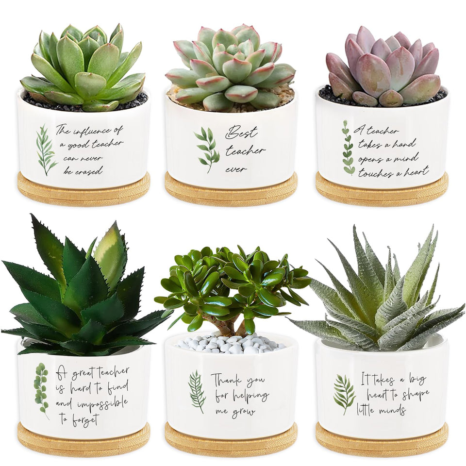 Tarklanda mini ceramic teacher pots with leaf prints, ideal for compact desk succulents.