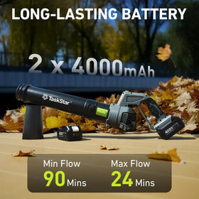 TaskStar compact 3.7 lb blower for easy handling