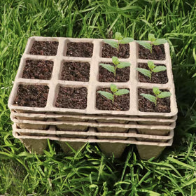 Tatibana ideal for herbs, microgreens, tomatoes, roses, and vegetables