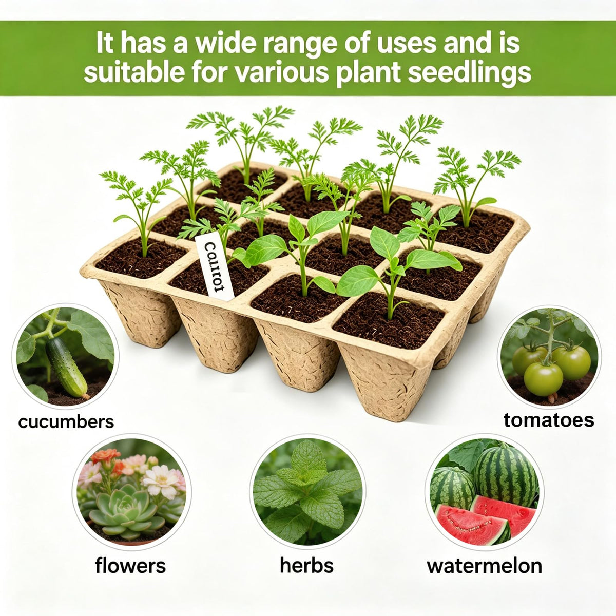 Tatibana mini transplanting devices simplify gentle root planting