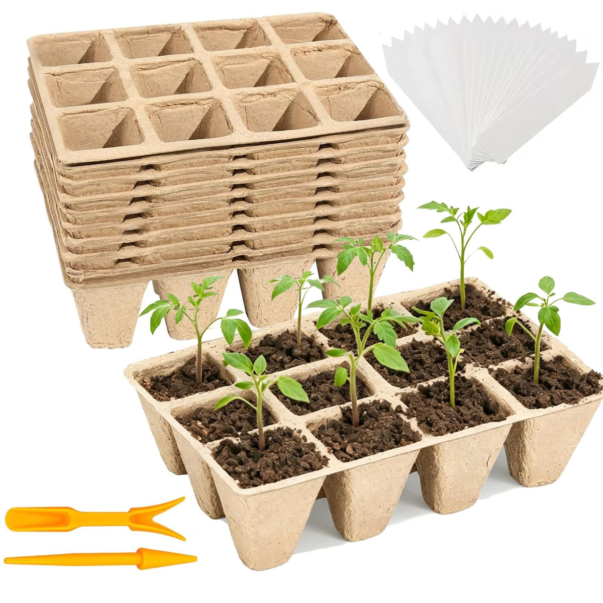 Tatibana 144-cell seed entry tray packaging supports easy seed start indoors