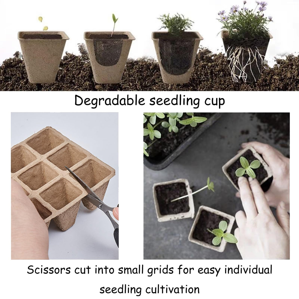Tatibana white plant labels help you track germination and progress