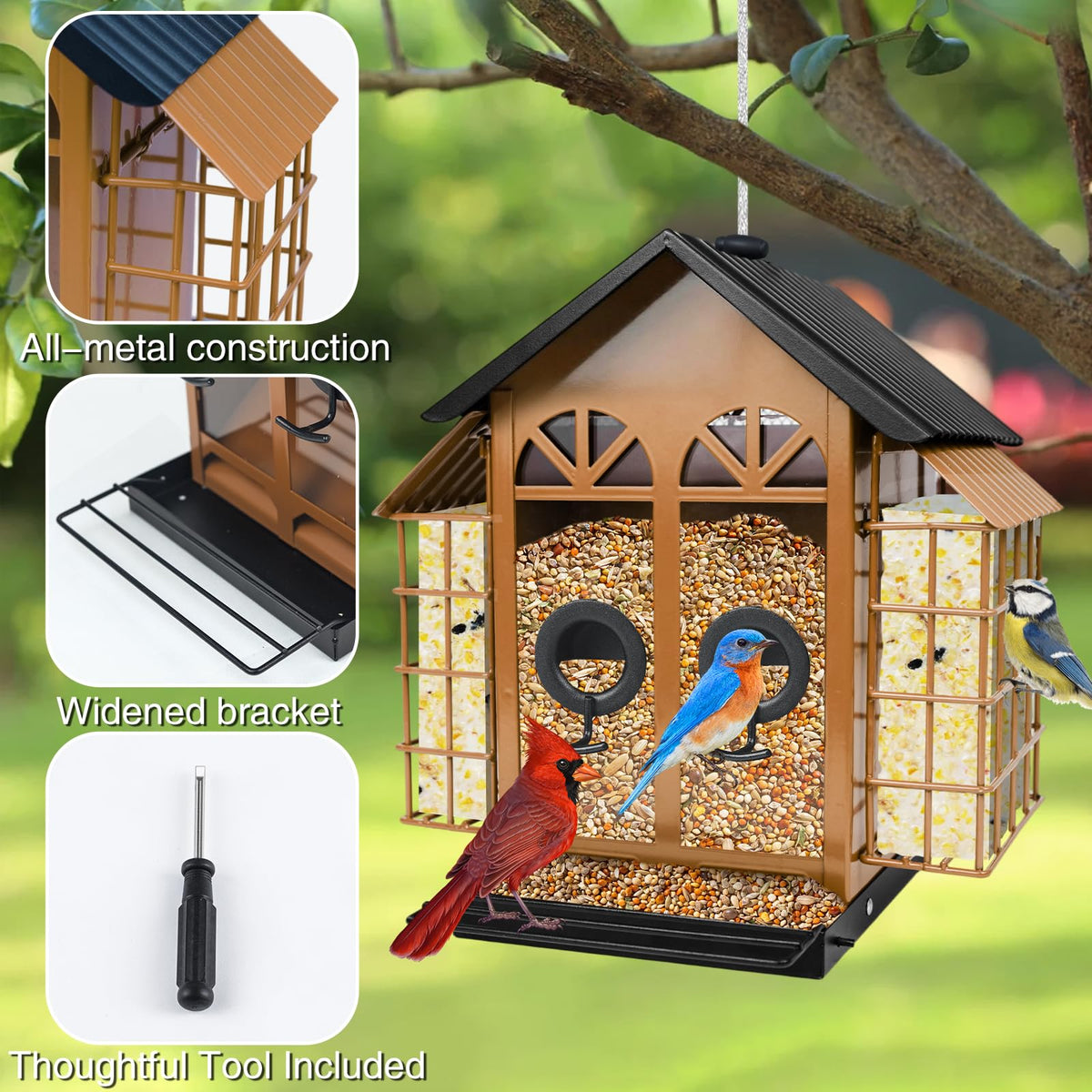 TayePin dual-zone feeder with 4lb capacity attracts diverse species