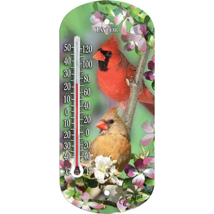 Taylor Cardinal Window Thermometer front view for quick room temperature checks.