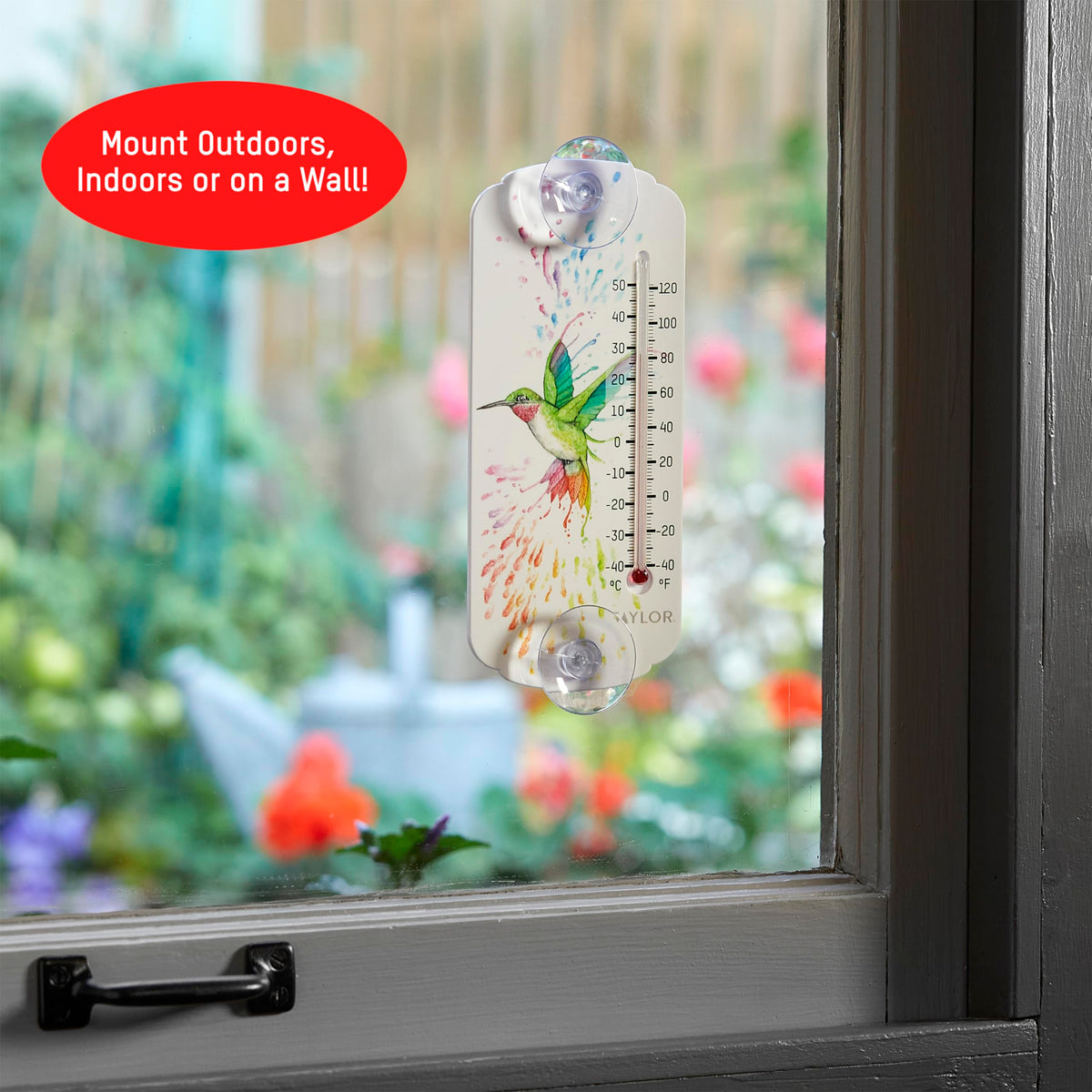 Taylor Rainbow thermometer displays Fahrenheit and Celsius scales for versatile readings.