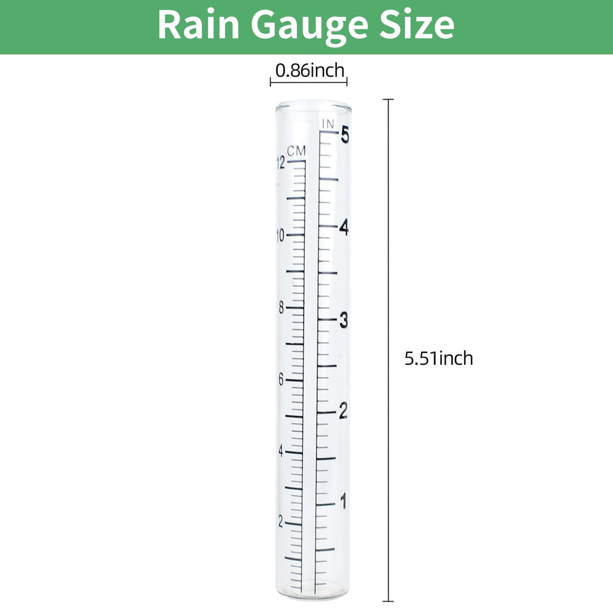 TBWHL clear glass rain gauge tube showing measurement scales