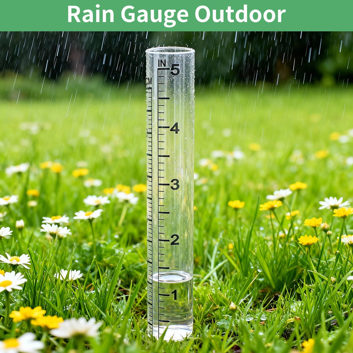 TBWHL garden rain gauge tube ideal for planting areas