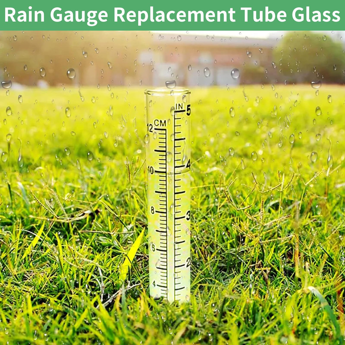TBWHL measurement tube 5inch for precise rainfall reads
