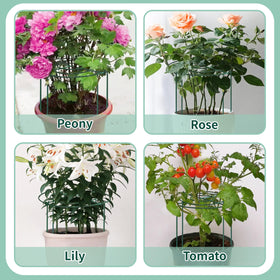 TCBWFY 4-pack set supports multiple tall plants in the garden.