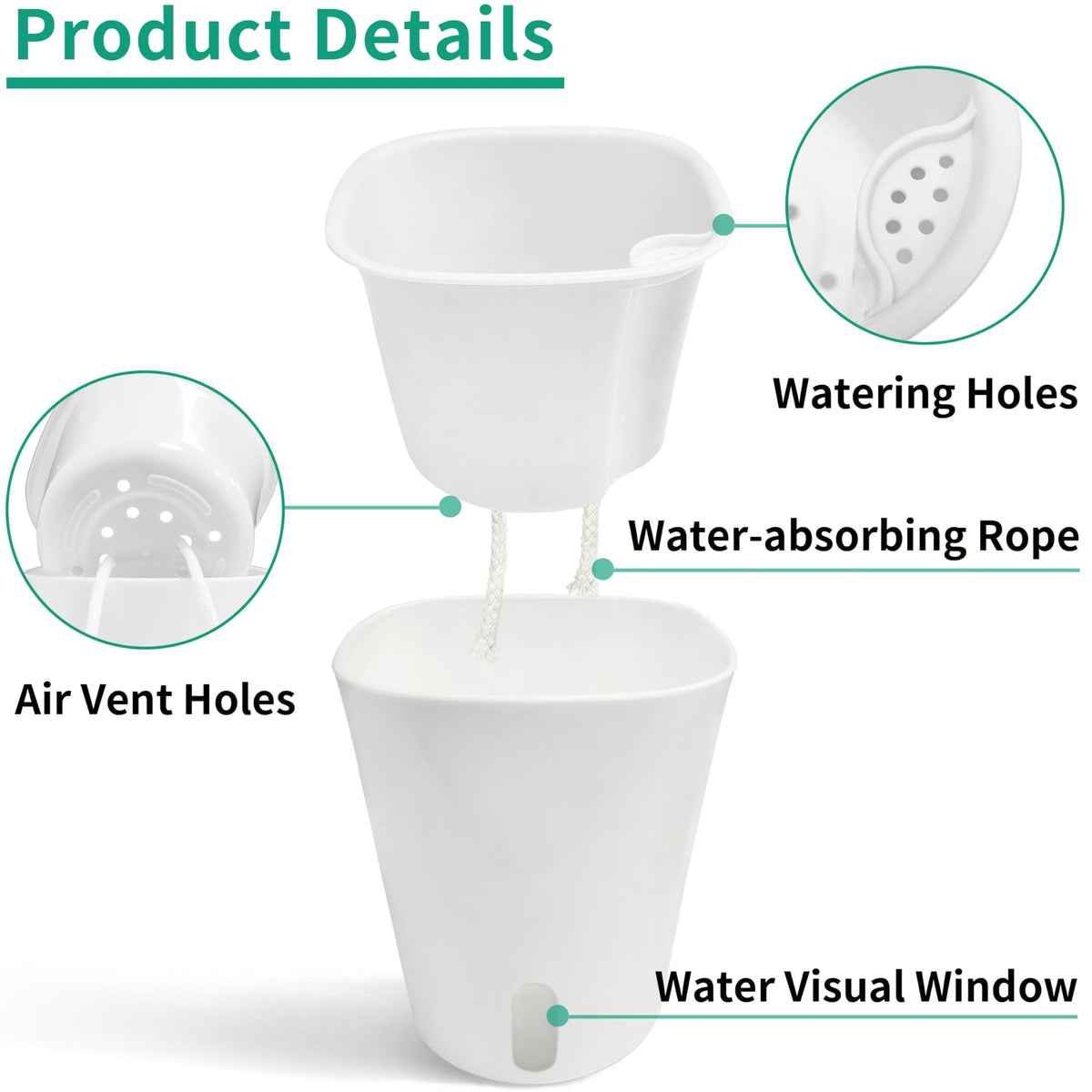 TCBWFY self-watering pot with visible water window helps monitor moisture levels.
