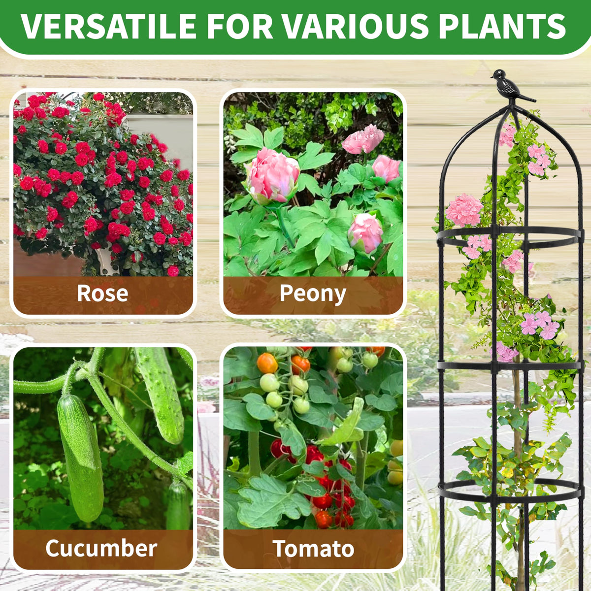 TCBWFY decorative garden trellis doubles as night-time focal point