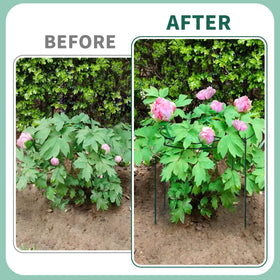 TCBWFY Easy setup over young plants for secure growth.