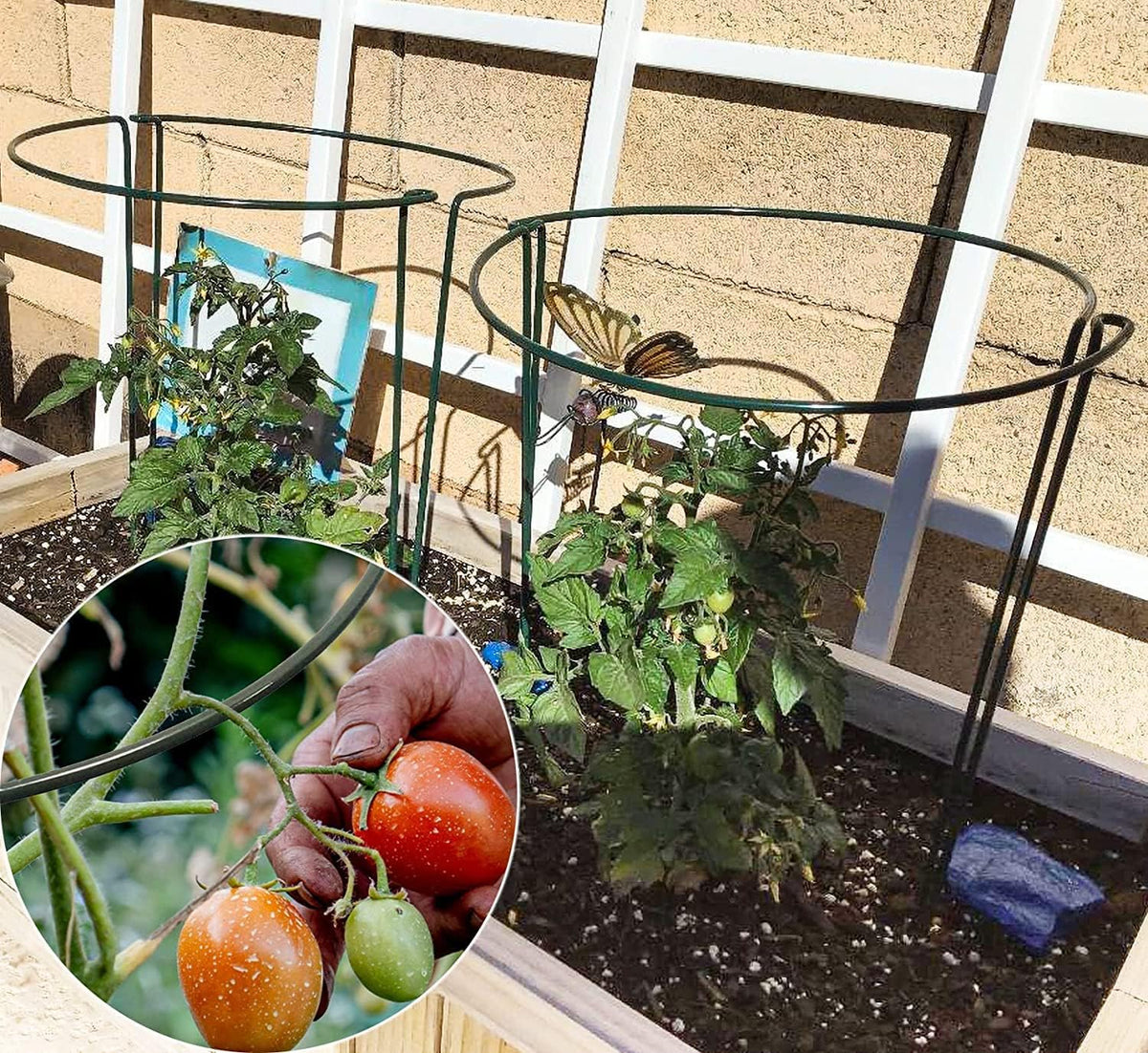 TCBWFY ground-insertable stakes for easy setup and space-saving storage