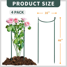 TCBWFY heavy-duty 6mm stake keeps large blooms upright against wind.