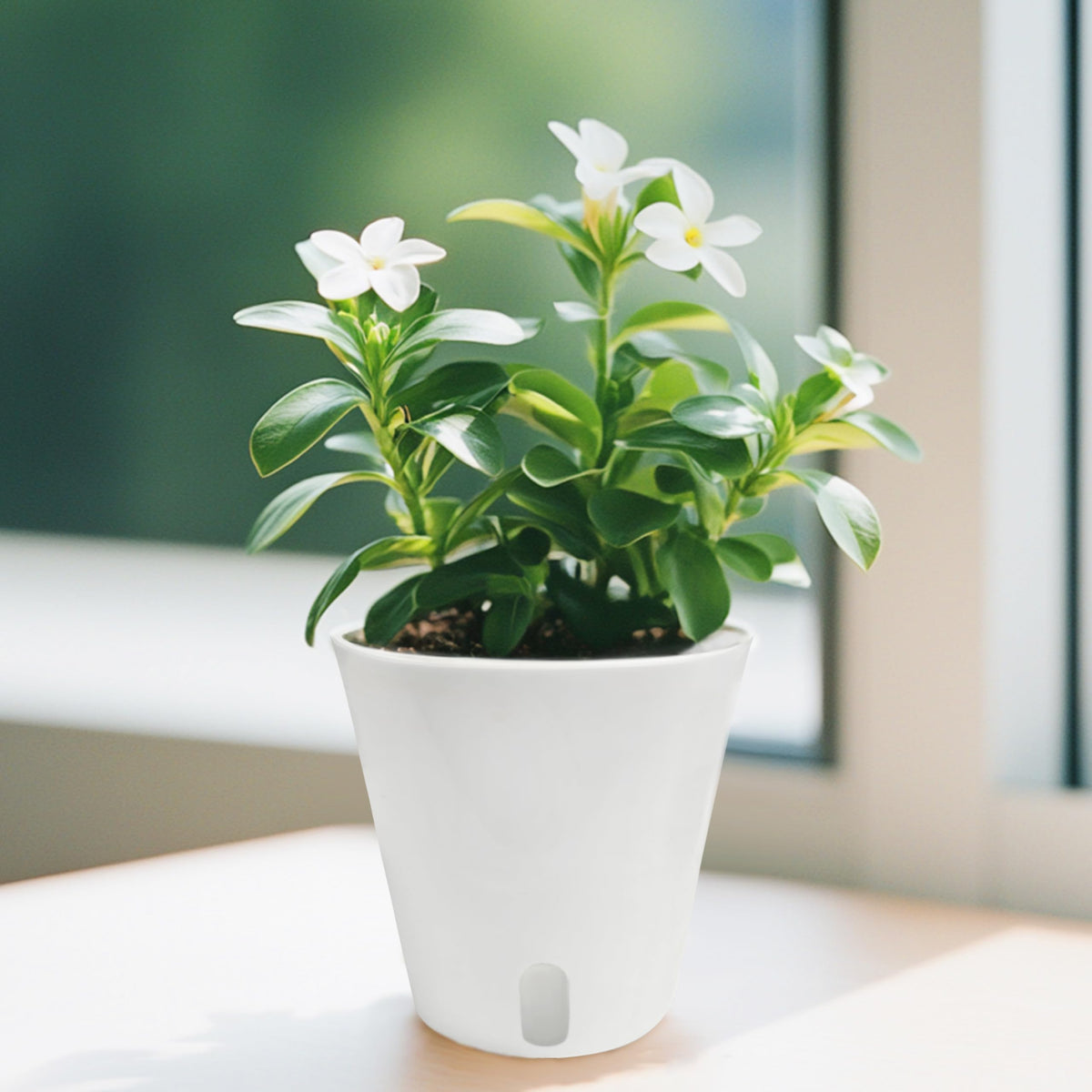 TCBWFY heavy-duty ABS plastic construction for durable indoor use.