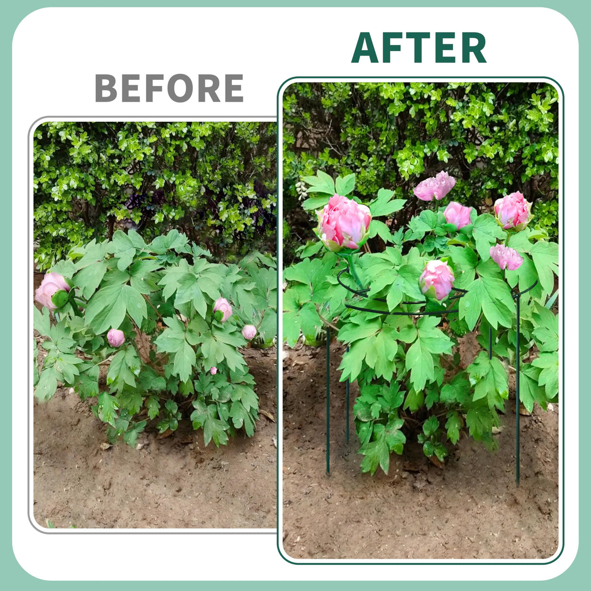 TCBWFY adjustable legs attach easily for different plant heights