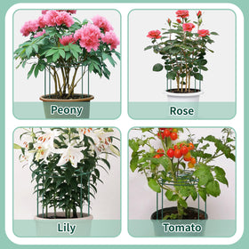 TCBWFY indoor-outdoor use cage supports roses peonies and more