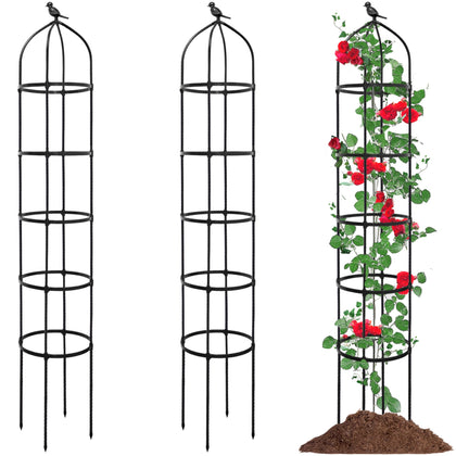 TCBWFY obelisk trellis 6-7ft provides sturdy vertical support for climbing roses.