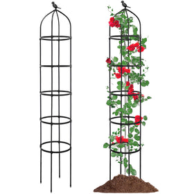 TCBWFY obelisk trellis assembly provides sturdy vertical support for climbing plants