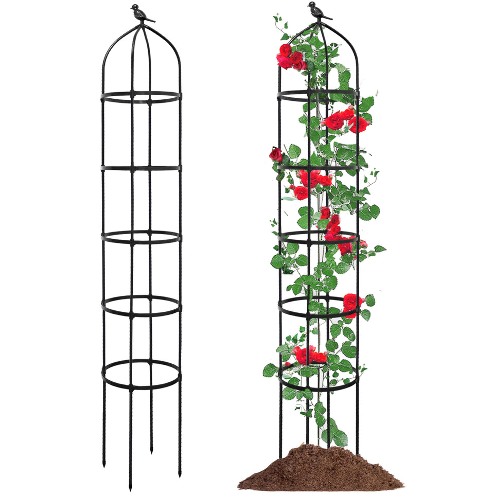 TCBWFY obelisk trellis assembly provides sturdy vertical support for climbing plants