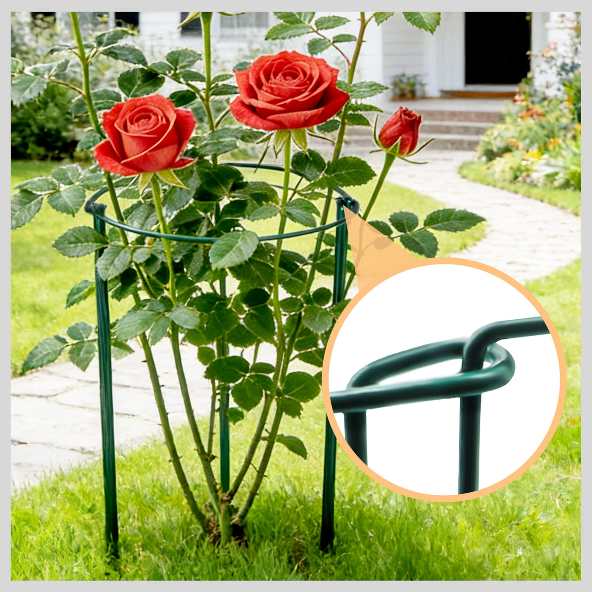TCBWFY outdoor garden stakes help airflow and keep stems supported.