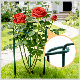 TCBWFY outdoor garden stakes help airflow and keep stems supported.