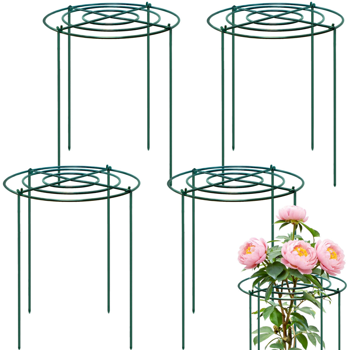 TCBWFY peony cage 18in diameter supports upright heavy blossoms outdoors