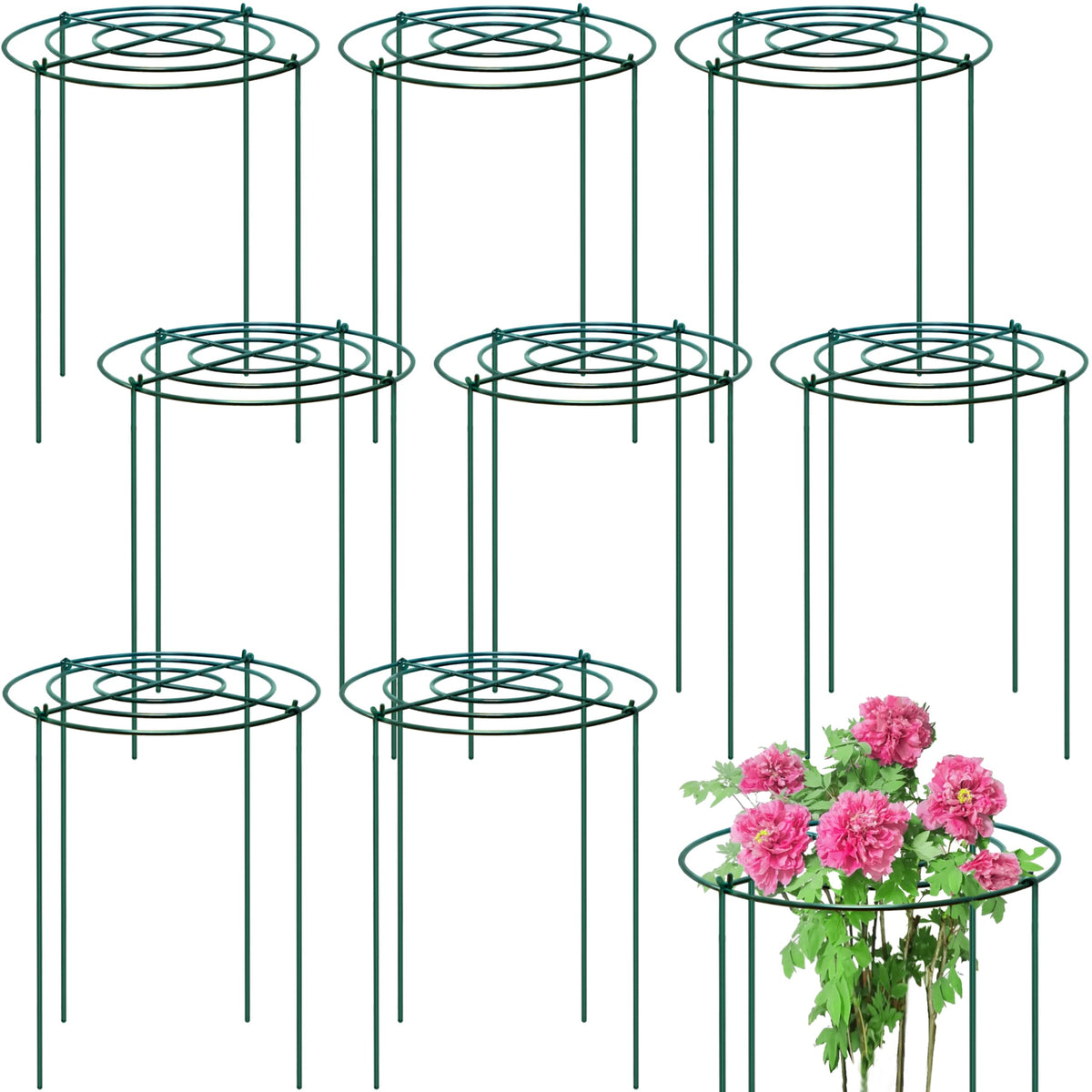 TCBWFY Peony Support Cage with a 10-inch ring supports tall blossoms.