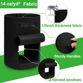 TCBWFY suitable for indoor and outdoor planting in small spaces.