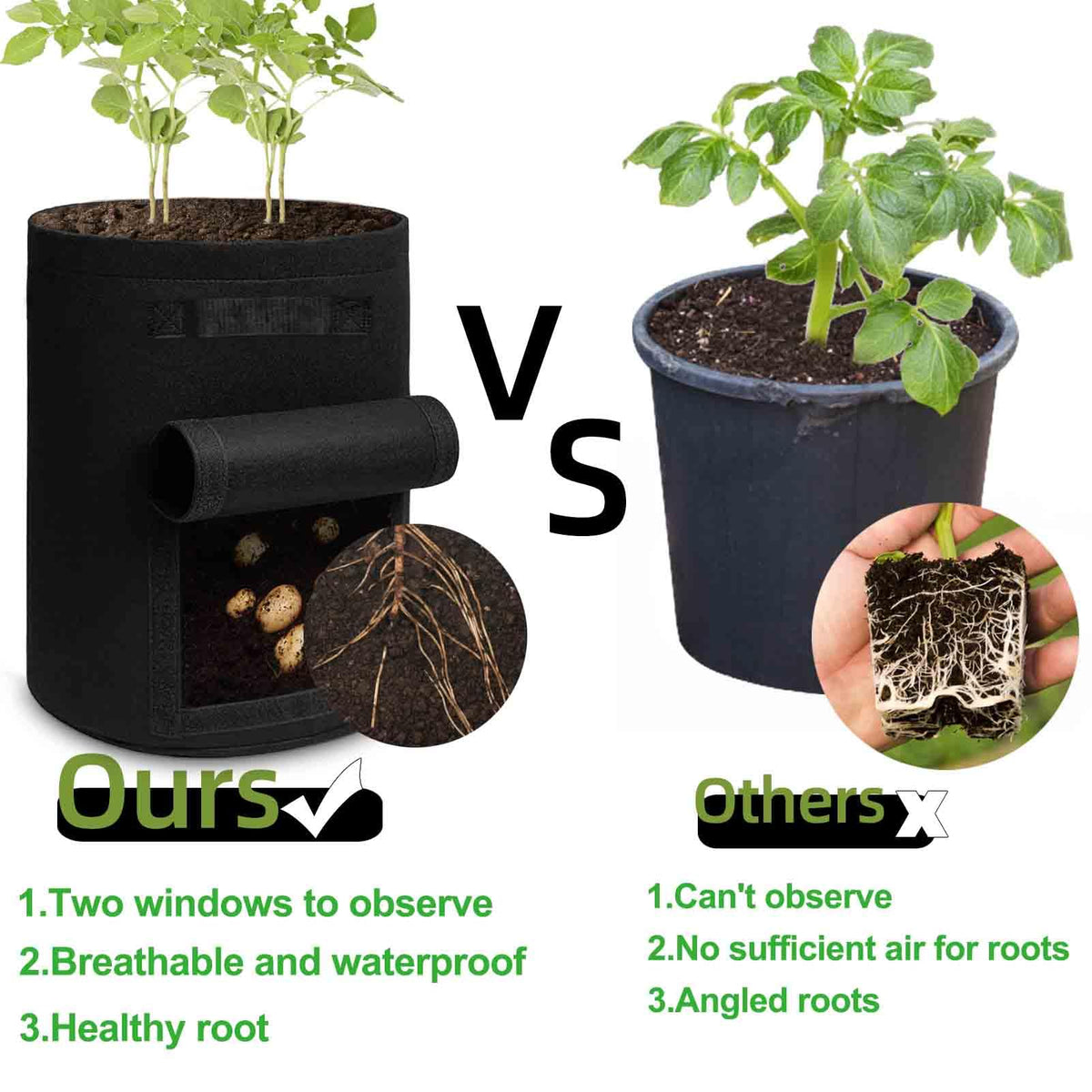 TCBWFY Velcro harvest windows help check ripeness without digging.