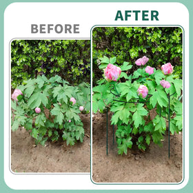 TCBWFY rust-resistant iron wire cage endures sun and rain